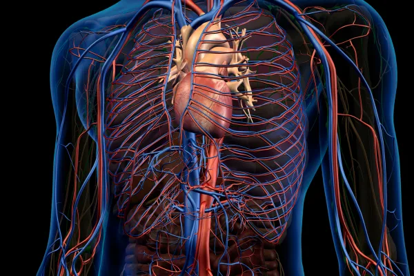 ¿Qué médico trata aterosclerosis?