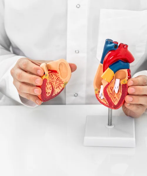 ¿Qué médico trata dolor en el pecho?